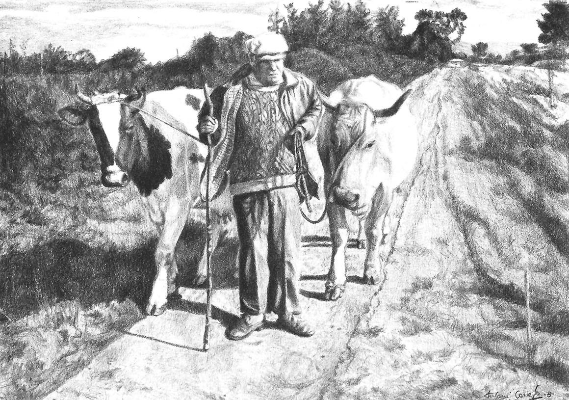 Paisanu asturianin con vacas dibujo 