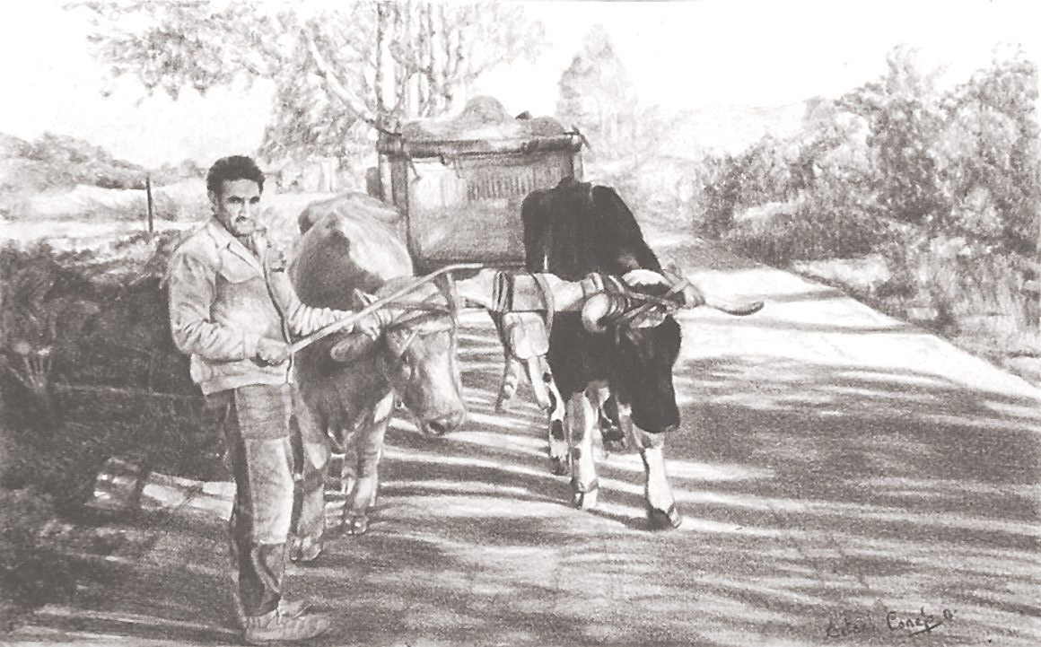 Campesino castellano tirando del carro de vacas dibujo