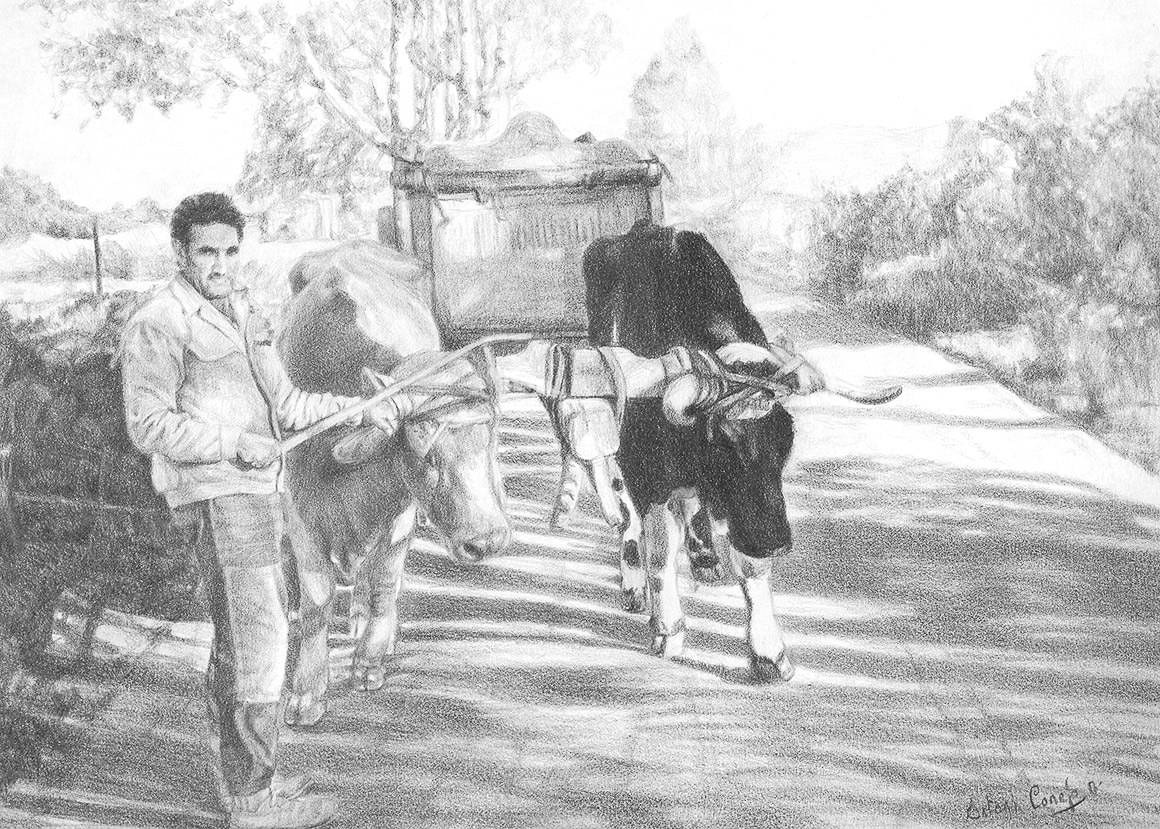 Campesino con vacas y carro dibujo