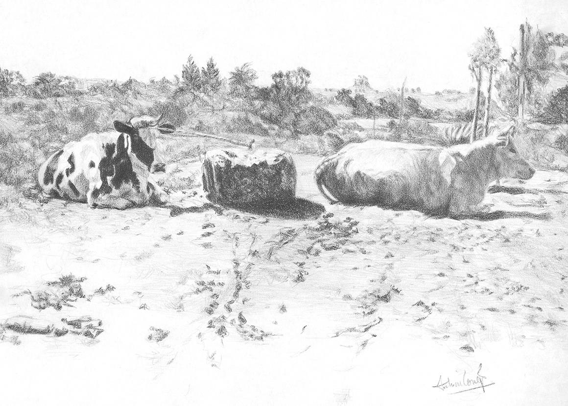 Vacas en el camino dibujo